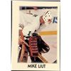 Image 1 : 1987-88 O-PEE-CHEE NHL MINI - MIKE LIUT