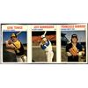 Image 1 : 1979 HOSTESS BASEBALL PANEL - JEFF BURROUGHS