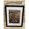 Image 1 : Commercial Aerial Photograph Of Vancouver - From 1988