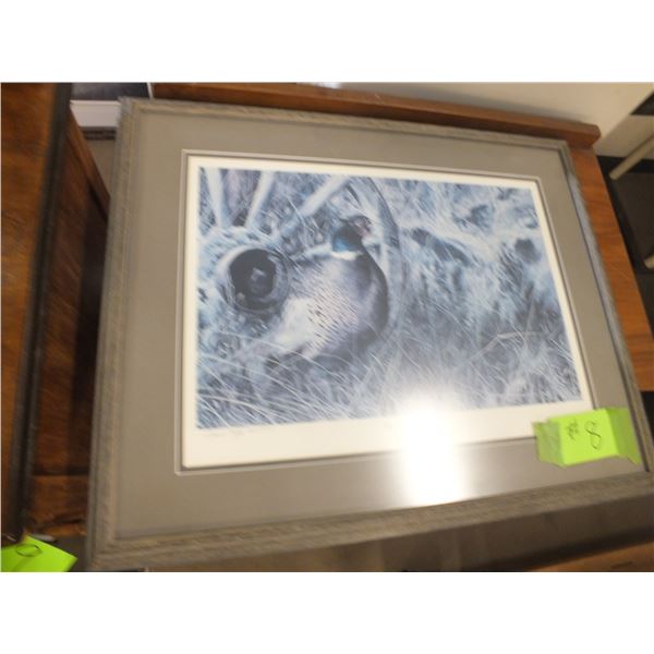 Ducks Unlimited Limited Edition Picture