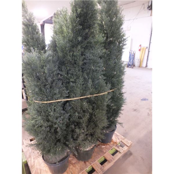 4 Fake Trees