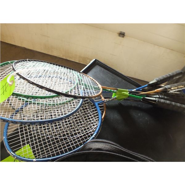 Badminton Rackets / Pickle Ball Paddles / Christmas Tree