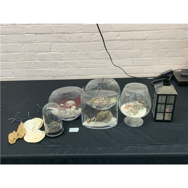Lot of Ocean Shells / Specimens, Sand Dollars, Sea Sponge, Lights, etc in Glass Vase Display Pcs