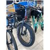 Image 1 : IGO E-Bike with Fat Tires and Rear Rack !NO CHARGER!