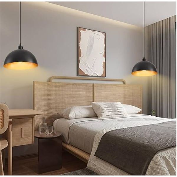 AOJUNSANSAN Plug In Pendant Hanging Light New