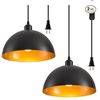 Image 2 : AOJUNSANSAN Plug In Pendant Hanging Light New