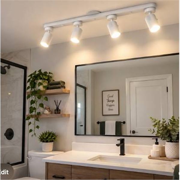 Landon & Co. 4-Head Track Light, White Metal