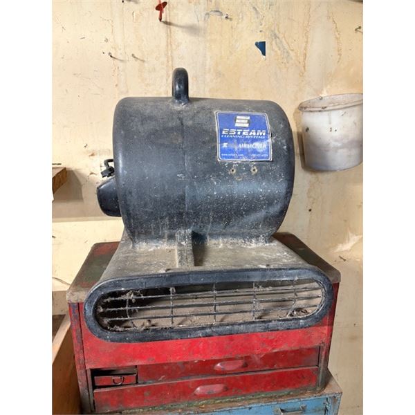 Esteam Blower