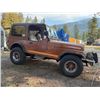 Image 1 : 1983 JEEP CJ