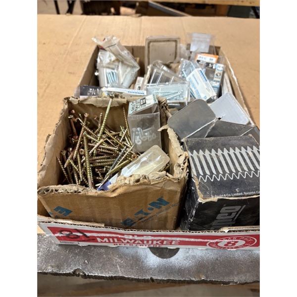 Screws/nails/bolts assorted