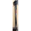 Image 1 : Ski Poles x 2 sets