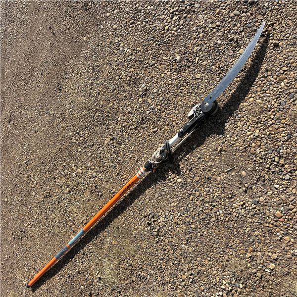 Fiskars Extendable Pole & Saw