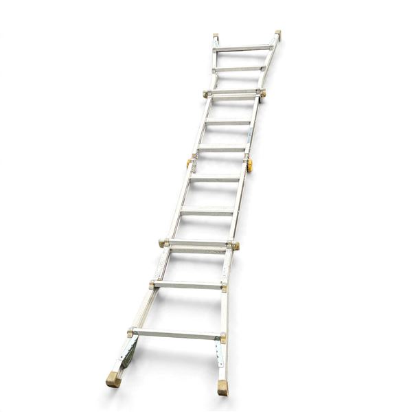 12 Foot Ladder with Step Ladder