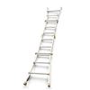 Image 1 : 12 Foot Ladder with Step Ladder