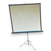Image 1 : Projection Screen