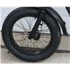 Image 11 : BLACK E BIKE