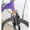 Image 5 : PURPLE RALEIGH MOUNTAIN BIKE