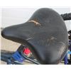 Image 3 : DARK BLUE ADULT TRICYCLE