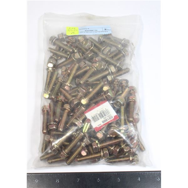 BAG OF HEX HEAD CAP SCREWS
