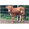 Image 1 : CCB Snickers