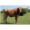 Image 1 : SCRATCH: RKJ DIAMONDS BEAUTY