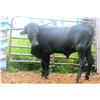 Image 1 : CEMB Black Jack