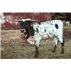 Image 1 : Tuff N Fancy Prairie Ghost
