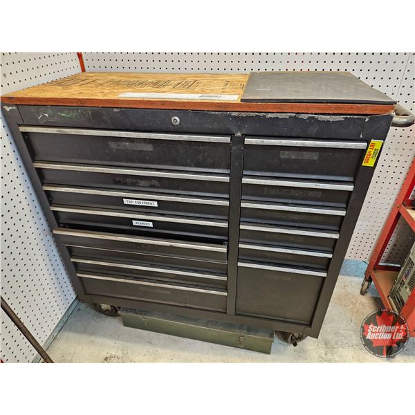 Large Rolling Multi-Drawer Tool Cabinet