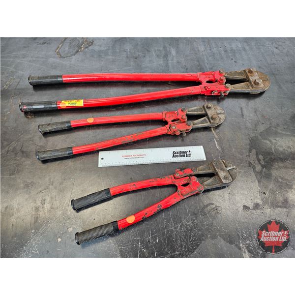 Assorted Heavy-Duty Bolt Cutters