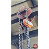 Image 6 : Rolling Gantry Crane with 3-Ton Chain Hoist