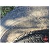 Image 9 : Assorted Truck & Equipment Tires