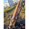 Image 5 : Bergen Grain Auger on Wheeled Frame (10" - 60ft) used for Augering Coal