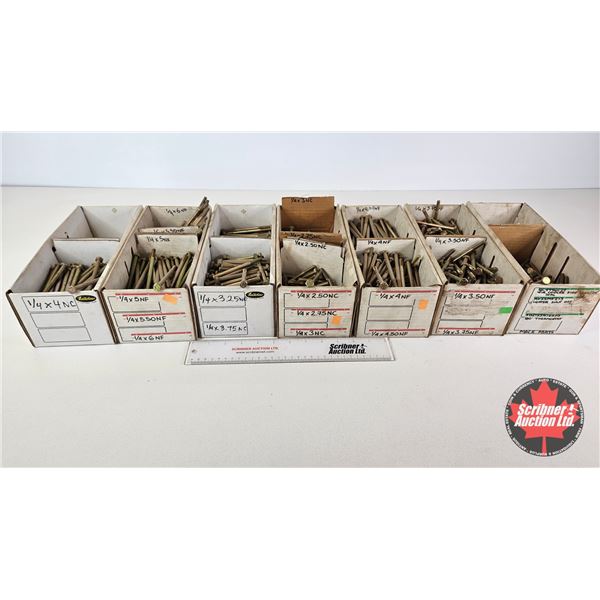 BULK BUY: Assorted 1/4-Inch Grade 8 Hex-Head Bolts