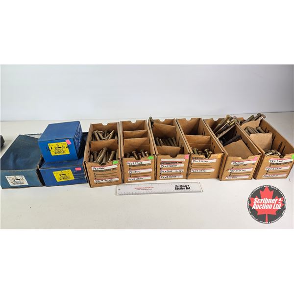 Bulk Buy: Assorted 1/2" Hex Bolts