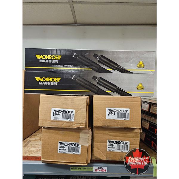 Monroe Magnum Shock Absorbers (18)