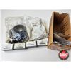 Image 8 : Assorted Heavy Duty Truck Bushings, Mounts & Seals