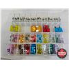 Image 6 : Assorted Fuses, O-Rings & Cable Ties