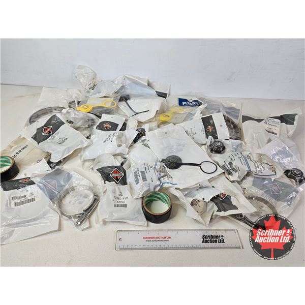 Assorted Hose Clamps and Fluid Caps