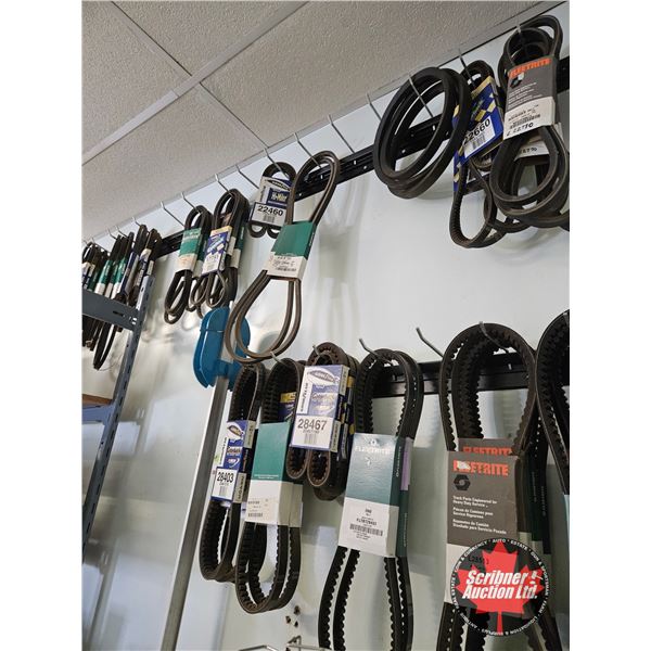Assorted Automotive Belts & Rack, Hook & Belt Sizer
