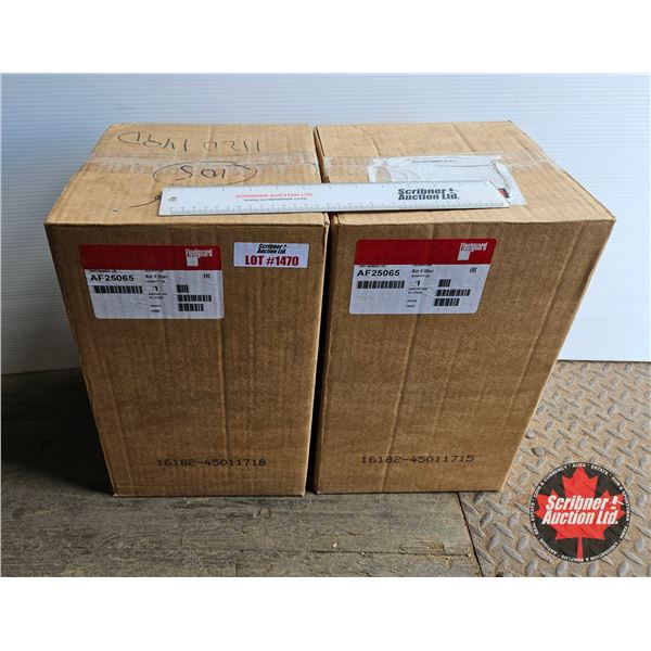 Fleetguard AF25065 Air Filters