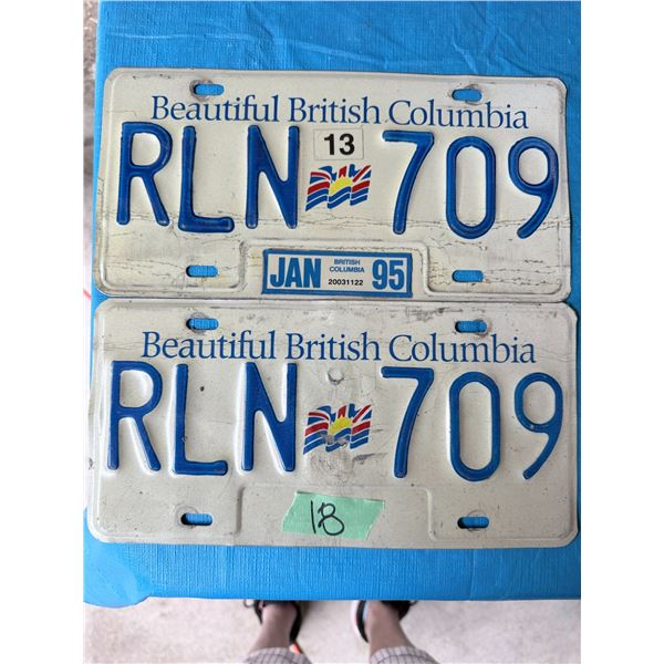 BC 1995 2 LICENSE PLATE PAIR