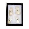Image 1 : Collection of Two Mother of Pearl Grips For unknown type of pistols. In overall excellent condition,