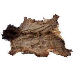 Elk Skin Rug in good condition.in good condition.