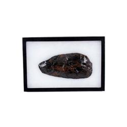 Native American Scrapper