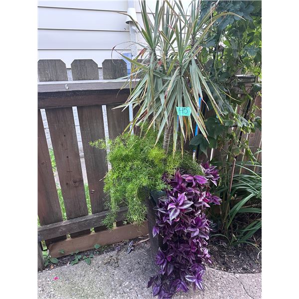 Indoor/Outdoor planter with stand
