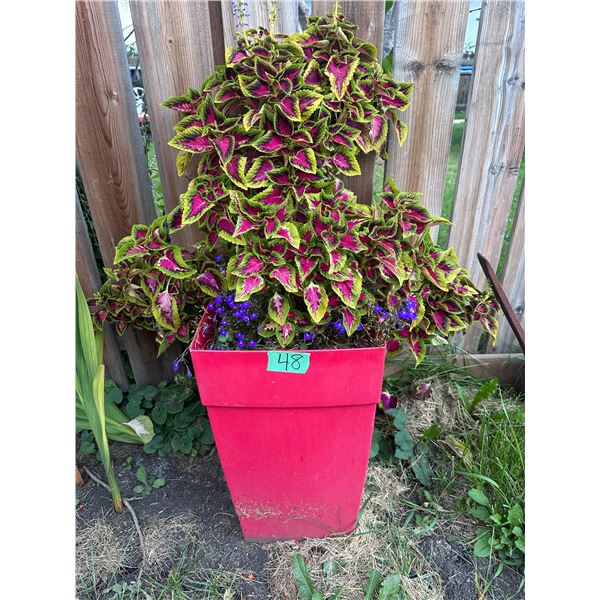 Planter with flowers