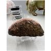 Image 7 : 2.6  INCH VANADINITE SPECIMEN HIGH GRADE