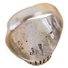 Image 7 : Ray Jack Navajo Sterling Multistone Inlay Ring