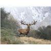 Image 1 : Luxury New Zealand Trophy Hunt for Four Couples With Venator Safaris