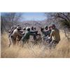Image 3 : BLASER / ERORA RHINO: Exclusive Namibian Rhino Conservation Package